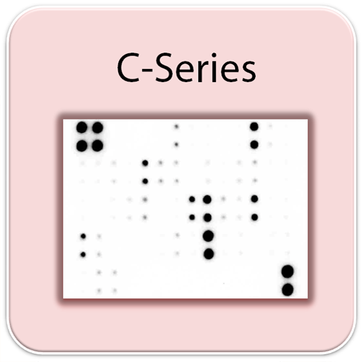 C-Series, AAH-SC-1,人類幹細胞分化蛋白晶片Human Stem Cell Array C1,RayBiotech,array,Stem cell,晶片,幹細胞