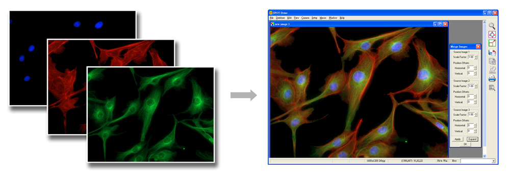 SPOT 影像軟體 影像融合功能 Merge Images
